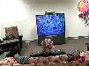 Raven on Hardcore TV