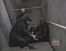 ECW on TNN - 2/04/00